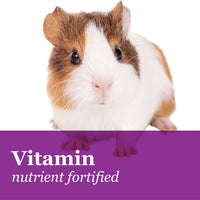 F.M. Brown's Tropical Carnival Gourmet Comida para cobayas con pellets de Alfalfa y Timothy - Dieta diaria con vitamina y nutrientes - BESTMASCOTA.COM