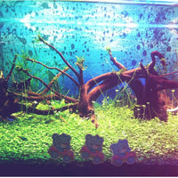 Hamiledyi - Rama de madera natural para acuario (3 unidades) - BESTMASCOTA.COM