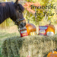 Mrs. Pastures Galletas y dulces de caballo – Premium All Natural Treats (5 libras) - BESTMASCOTA.COM