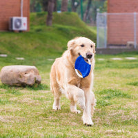 HIPIPET - Cuerda de juguete para perros para razas medianas y grandes (10 unidades, casi indestructible) - BESTMASCOTA.COM