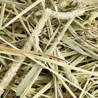 Pequeño Pet Select 1St corte "alta fibra" Timothy Heno Pet Food - BESTMASCOTA.COM