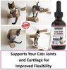 Gato de la cadera y conjunta glucosamina para gatos con Chondroitin y Opti-Msm ácido hialurónico para mayor flexibilidad de conjunta y el dolor alivio de la Inflamación y Artritis 2 floz - BESTMASCOTA.COM