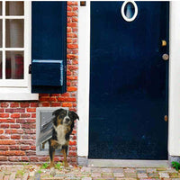 Ideal Pet Products Designer Series - Kit de instalación de pared para puerta de mascota, resistente a las inclemencias del tiempo - BESTMASCOTA.COM