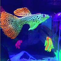 gootrades - Juego de 3 piezas de peces artificiales efecto brillante para acuario decoración flotante - BESTMASCOTA.COM