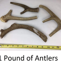 Piezas de asta de ciervo Antler Man premium masticables para perros, vendido por The Pound - BESTMASCOTA.COM