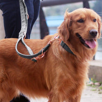 KUYOUGOU - Collar y correa para perro (6.6 ft), diseño elegante con juego de oro rosa, 3 longitudes ajustables, para perros pequeños a grandes - BESTMASCOTA.COM