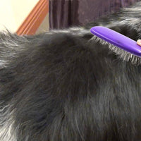 Pet cepillo para polvo por hertzko – Ideal para desenredar y quitar Loose UNDERCOAT o Galpón Fur – adecuado para perros y gatos con largas o de pelo corto – Ideal para cepillado diario - BESTMASCOTA.COM