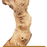 Madera arrastrada por la corriente Mopani, pequeñas, 4 de 9.8 pulgadas - BESTMASCOTA.COM