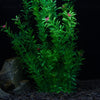 tacobear Planta Artificial Plástico Verde Acuario Fish Tank Submarino Planta 20 inch Plantas Acuáticas - BESTMASCOTA.COM