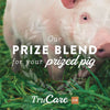 trucare Z/M parte superior-dress Trace mezcla de minerales para multi-species: Cerdos, oveja, Llamas, conejos, Aves de corral (Zinc, Manganeso) - BESTMASCOTA.COM