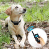 FRiEQ Collar de entrenamiento para perro, mando a distancia, resistente al agua, recargable con tono/vibración/modos de choque eléctrico para perros pequeños, medianos y grandes - BESTMASCOTA.COM