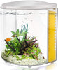 YCTECH kit de iniciación de acuario de 1,4 galones Betta Fish Tank Goldfish Tank con luz LED y bomba de filtro blanco y negro - BESTMASCOTA.COM
