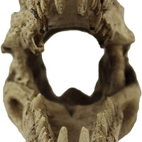Pangea - Decoración de terrario con diseño de calavera de cocodrilo - BESTMASCOTA.COM