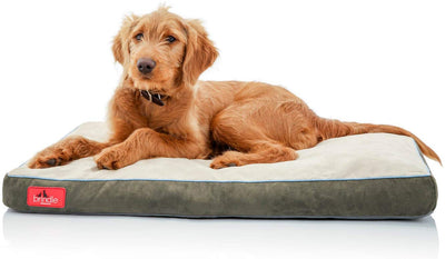 BRINDLE Cama para perros de espuma viscoelástica con cubierta lavable extraíble - BESTMASCOTA.COM