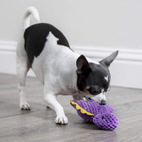 GoDog Dinos Bruto con tecnología de protección para masticar juguete para perro, Mini, morado - BESTMASCOTA.COM