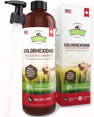 Champú de cloro hexidina para perros, gatos – 16 oz – Champú medicado para perros y gatos, lavado de mascotas para pieles irritadas, tratamiento de puntos calientes, mango, olor, infección de levadura, alivio de picazón de alergia, anillo, antifúngico, Es - BESTMASCOTA.COM