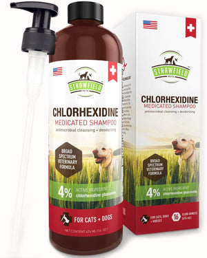 Champú de cloro hexidina para perros, gatos – 16 oz – Champú medicado para perros y gatos, lavado de mascotas para pieles irritadas, tratamiento de puntos calientes, mango, olor, infección de levadura, alivio de picazón de alergia, anillo, antifúngico, Es - BESTMASCOTA.COM