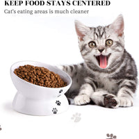 Y YHY - Cuenco de cerámica para comida de gato, diseño inclinado, ángulo de inclinación para proteger la columna vertebral del gato, sin estrés, prevención de reflujo, regalo para gato, color blanco - BESTMASCOTA.COM