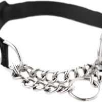 Collar de entrenamiento Mighty Paw, collar Martingale, calidad premium, limitado, collar cincha, collar reflectante para perros - BESTMASCOTA.COM