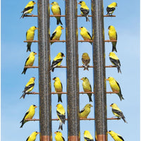 Songbird Essentials Cobre Acabado Finches Favorite Tubo de 3 pájaros se324 C - BESTMASCOTA.COM