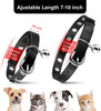 Joansan - Collar ajustable para gato, con piedras de estrás y cascabel, de seguridad básica, clásico, con longitud ajustable de 7 a 10 pulgadas, para gatos y gatitos - BESTMASCOTA.COM