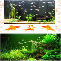 Hamiledyi - Rama de madera natural para acuario (3 unidades) - BESTMASCOTA.COM