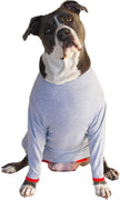 Camiseta de protección post operatoria para perros, mejor que el cono La alternativa más cómoda para recuperación. - BESTMASCOTA.COM