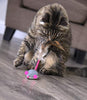 Petlinks Electronic Motion Toys for Cats - BESTMASCOTA.COM