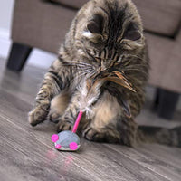 Petlinks Electronic Motion Toys for Cats - BESTMASCOTA.COM