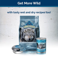 Blue Buffalo Wilderness Grain-Free Turkey Dog Jerky Treats, 3.25 oz - BESTMASCOTA.COM