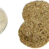 Giddyap - Galletas para caballo - BESTMASCOTA.COM