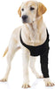 Suitical Recovery - Funda para perro - BESTMASCOTA.COM