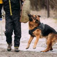 MelkTemn Professional Dog Bite Training Set Dog Bite Arm Sleeve with Whip Agitation Stick for Dogs Training Protection Biting Sleeve for Pitbull German Shepherd Puppy Biting Playing - BESTMASCOTA.COM