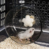 Petyoung - Ruedas de ejercicio de acrílico pequeñas, ruedas de ejercicio súper silenciosas, juguete para mascotas pequeñas, hámster, cobayas, ratas de 5.1 pulgadas - BESTMASCOTA.COM