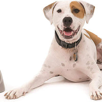 Dispositivo entrenador para perros, mediante el método de recompensa, de PetSafe - BESTMASCOTA.COM