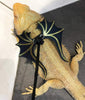 Vehomy 3 paquetes de arnés y correa de dragón barbudo ajustable (S, M, L) suave correa de piel para reptiles para anfibios y otros animales de mascotas pequeños - BESTMASCOTA.COM