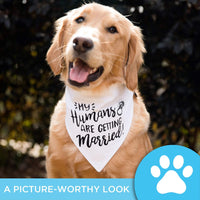 Bandana para perro My Humans are Getting Married Dog Bandana, bandana para perro de boda, anuncio de compromiso, accesorio para fotos de boda, bufanda para mascotas, mascota - BESTMASCOTA.COM