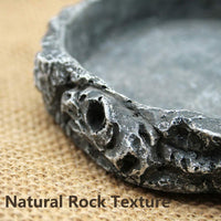 Tfwadmx - Cuenco de agua para reptiles, comedero de reptiles, con pinzas para tortuga, lagarto, dragón, rana, leopardo, gecko, serpiente, araña, camaleón (3 unidades) - BESTMASCOTA.COM
