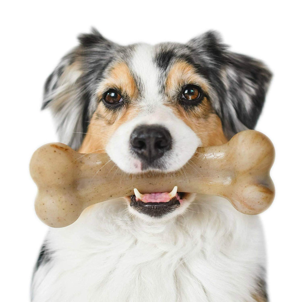 Juguetes para masticar perros de Pet Qwerks BarkBone para masticadores agresivos, fabricados en Estados Unidos, - - BESTMASCOTA.COM