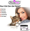 Probiotics para gatos – 100% de garantía – Mejores Condiciones para Diarrea, Vómito, Gas, piel – tasteless – No Fillers – Non OMG – Trigo y Lácteos Free – Certificado GMP – Veterinario Aprobado - BESTMASCOTA.COM