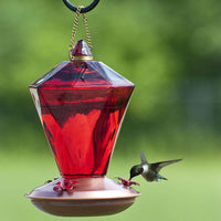 Madera Link Hummingbird Feeder Ruby vidrio Diamond, 1, Beige - BESTMASCOTA.COM