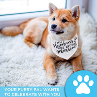 Bandana para perro My Humans are Getting Married Dog Bandana, bandana para perro de boda, anuncio de compromiso, accesorio para fotos de boda, bufanda para mascotas, mascota - BESTMASCOTA.COM