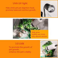 OTO 50W UVA (97%) y UVB (3%) lámpara de sol Sunbathe Reptile Lizard lámpara 3 unidades - BESTMASCOTA.COM
