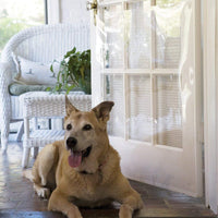 The Door Shield: Protector de rasguños de mascotas - BESTMASCOTA.COM