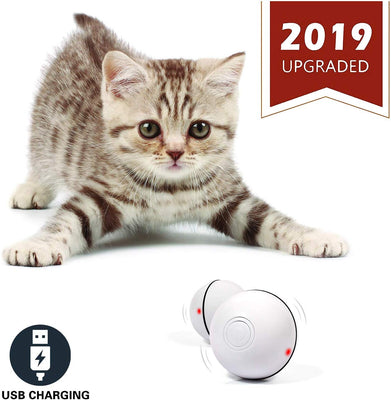 Yofun Juguete interactivo inteligente para gato, versión más reciente de bola giratoria de 360 grados, juguete recargable por USB, luz LED giratoria integrada, estimula el instinto de caza para tu gatito - BESTMASCOTA.COM