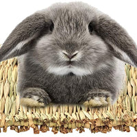 Cloud-X - Juego de 3 alfombrillas para conejo, pajita natural, para masticar, juguetes, para animales pequeños, como cobayas, loros, conejos, hámster - BESTMASCOTA.COM