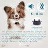 GoodBoy - Mini collar remoto para perros con pitido y modos de vibración para entrenamiento de comportamiento de mascotas, resistente al agua y rango de 1000 pies, apto para perros extra pequeños a medianos (5-15 libras) - BESTMASCOTA.COM