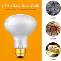 Aomryom UVA 75W 2 Pack Basking Spot Heat Lamp Bulb Soft White Light Heat Bulbs for Reptiles & Amphibians - BESTMASCOTA.COM