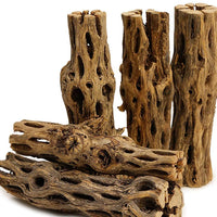 NilocG Aquatics - 5 piezas de madera de cholla natural de 5 pulgadas de largo para decoración de acuario, Versión original. - BESTMASCOTA.COM