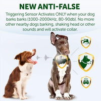 TBI Pro Collar de corteza de perro – Detección de ladridos inteligente profesional eficaz K9 – recargable con tres modos antipliegue: pitido, vibración para razas de perros pequeñas, medianas, grandes – IPx7 impermeable - BESTMASCOTA.COM